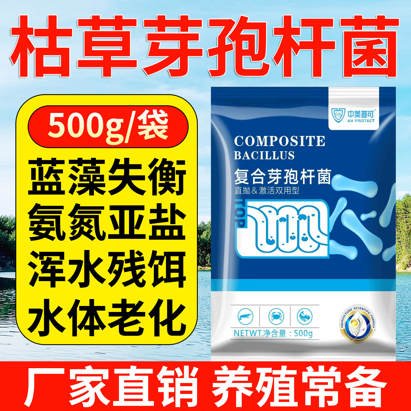 水产养殖专用复合芽孢杆菌净水