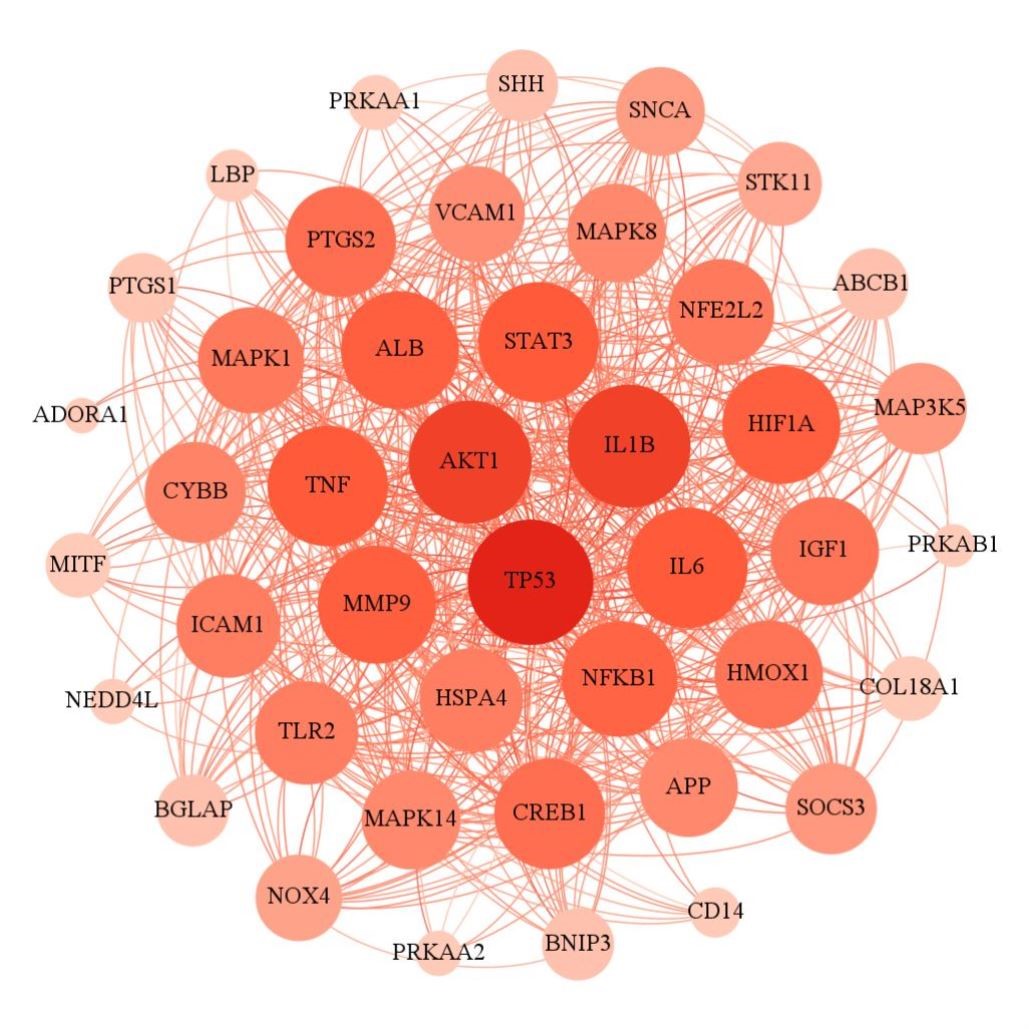 网络药理学代做 复方&单药&各类图