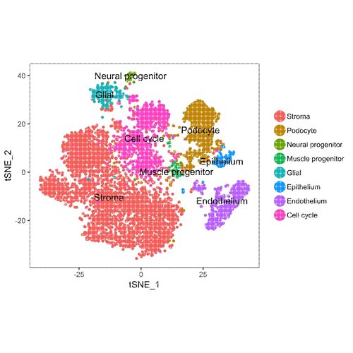 10x单细胞测序数据基础分析cellranger 空间转录组atac流程代跑