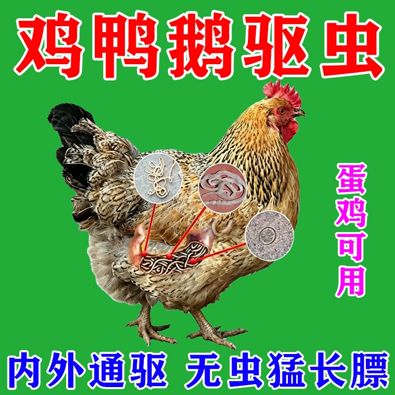 鸡驱虫鸡体内外寄生虫绦虫蛔虫线虫专用肠虫清全蟲净鸡鸭鹅打虫药
