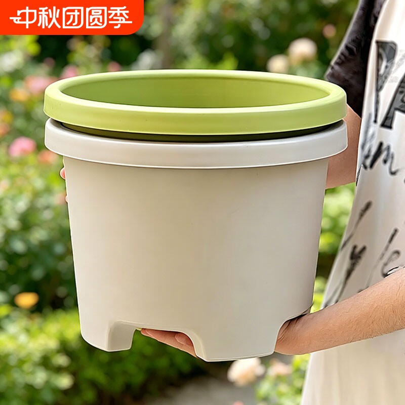 矮款控根花盆加厚耐用图片