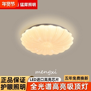 简约现代led吸顶灯家用家装大厅灯客厅灯长方形圆奶油风新款灯具