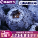 蓝莓新鲜水果应当季 高端云南现摘鲜果特大果孕妇整箱顺丰花香一颗
