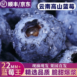 蓝莓新鲜水果应当季 高端云南现摘鲜果特大果孕妇整箱顺丰花香一颗