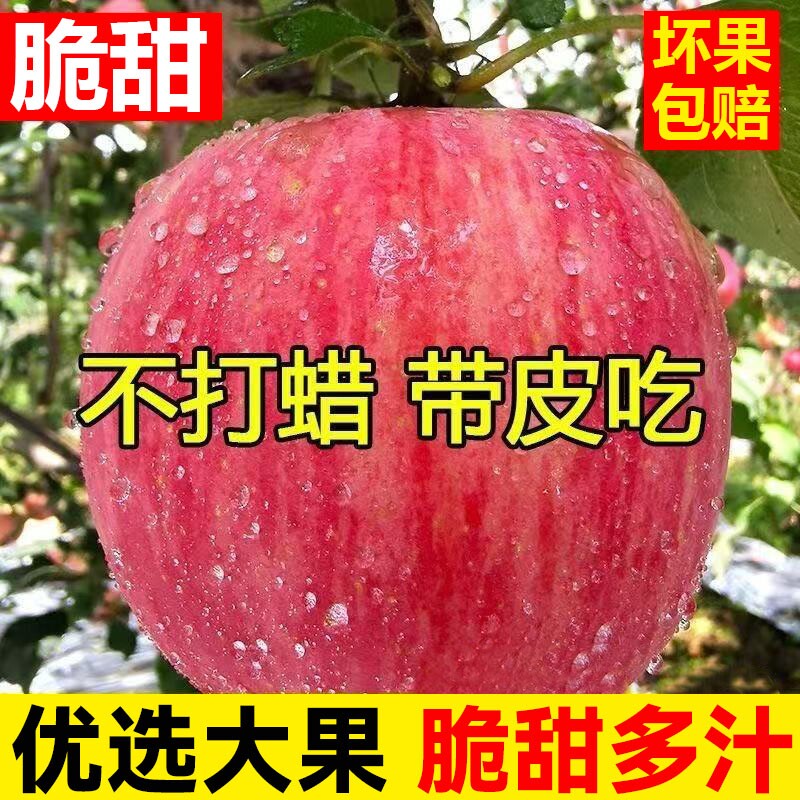 陕西红富士脆甜苹果新鲜水果应当季冰糖心丑苹果整箱包邮不打蜡