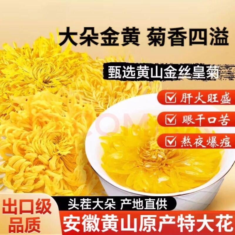 金丝皇菊特级一等品菊花茶特级一朵一杯散装花茶搭配枸杞金银花茶