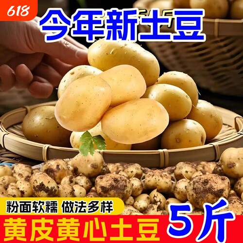 恩施小土豆新鲜马铃薯