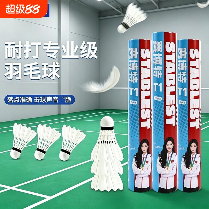赛博特羽毛球12只稳定耐打家庭娱乐室内户外训练专用防风优质鹅毛