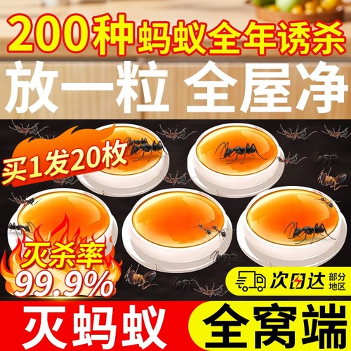【3分钟起效】强效速杀蚂蚁饵剂