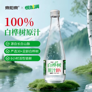 泉阳泉长白山天然100%白桦树原汁健康原液本植物饮料送礼玻璃瓶