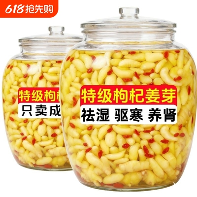太淄博枸杞泡姜芽泡菜新鲜嫩姜芽酸甜醋泡生姜片腌制..美味瓶装