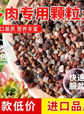 多肉颗粒土专用营养土植物泥炭种植土壤肉肉叶插小苗老桩颗粒花土