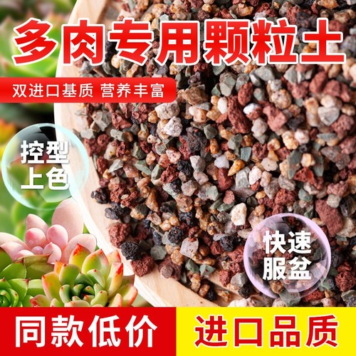 多肉颗粒土专用营养土植物泥炭种植土壤肉肉叶插小苗老桩颗粒花土
