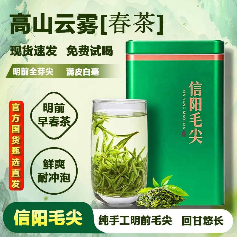 2026明前新茶正宗信阳毛尖特级绿茶毛尖嫩芽浓香型500g高山春茶叶
