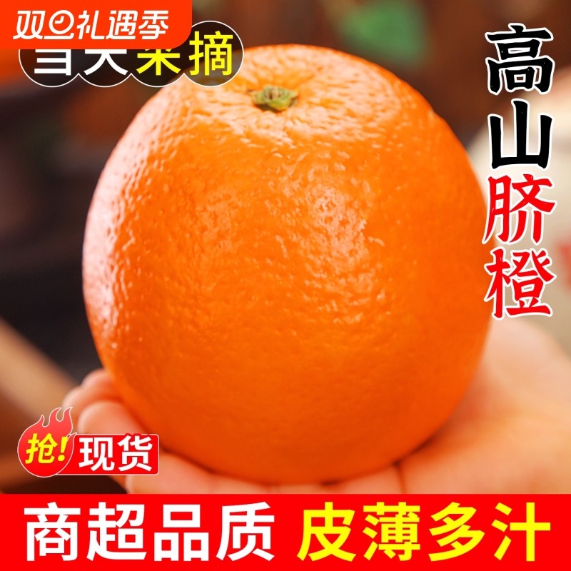 正宗纽荷尔脐橙当季新鲜水果橙子现摘湖南果冻手剥橙非赣南脐橙