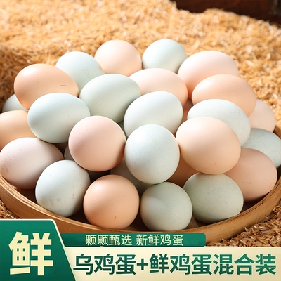 混合鸡蛋50枚新鲜谷物蛋乌鸡蛋甄选鲜鸡蛋草鸡蛋谷饲喂养鸡蛋早餐
