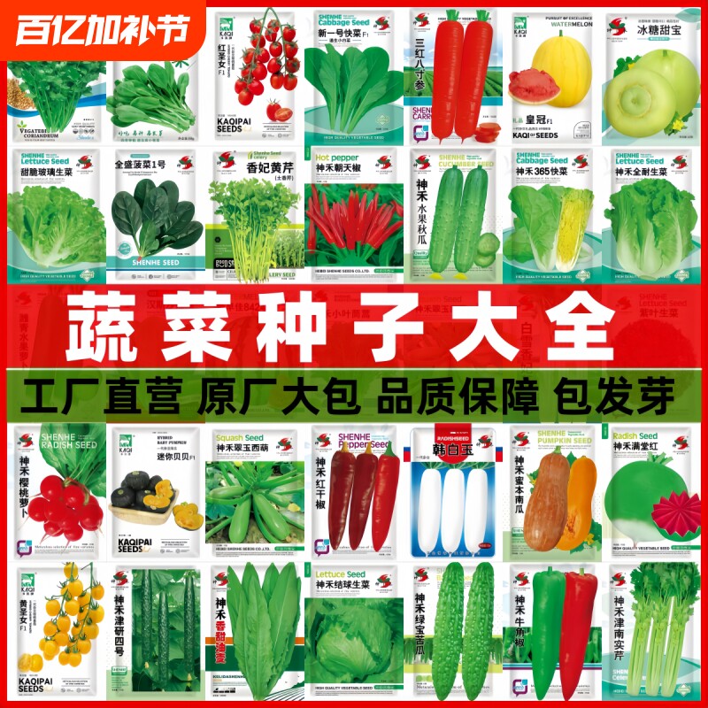 蔬菜种子四季播辣椒西瓜籽孑香菜春季蔬菜大全菠菜四季豆番茄阳台