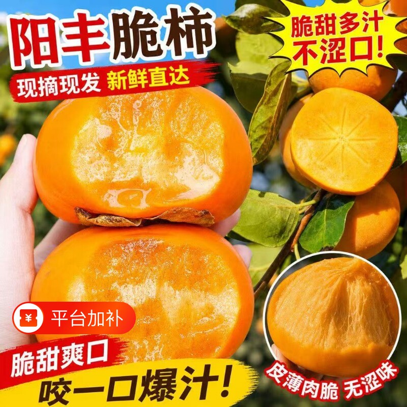 现摘批发脆柿新鲜应季甜柿子巧克力脆柿冰糖心无核硬柿子当季水果