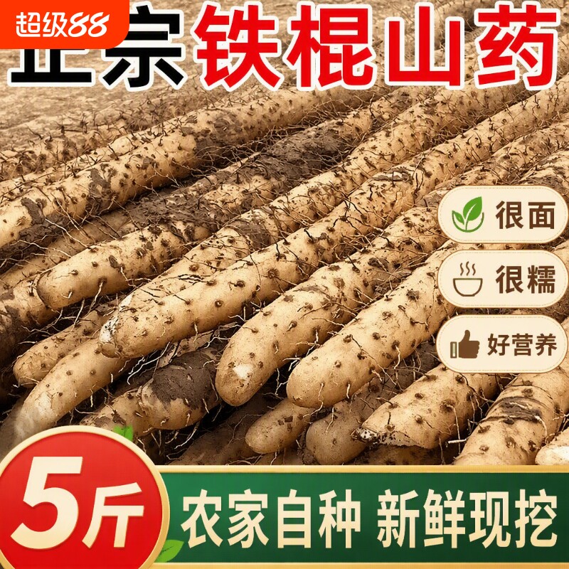 河北铁棍山药小白嘴山药新鲜山药淮山药产地直发新鲜粉糯5斤包邮