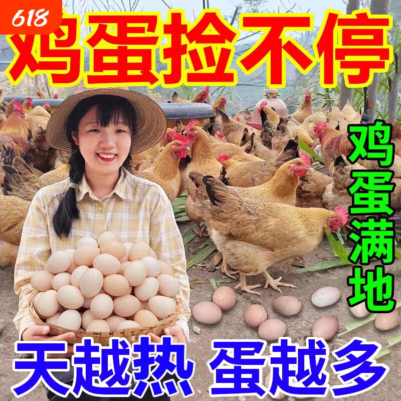 增蛋宝鸡鸭鹅鸽专用蛋多多下蛋饲料催鸡下蛋鹌鹑产蛋灵增蛋素增产