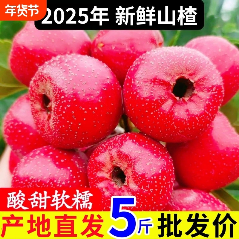 【现摘】当季新鲜山楂鲜果红果大金星五棱糖葫芦糖雪球整箱批发价