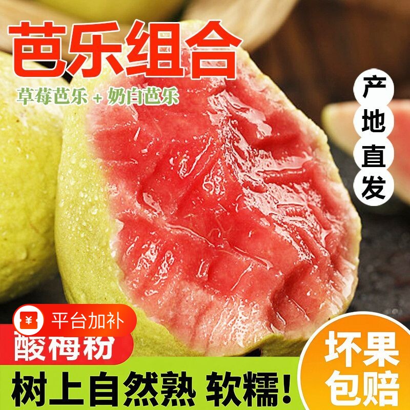 【软糯香甜】红心芭乐番石榴软糯软心新鲜水果应季孕妇低糖现摘