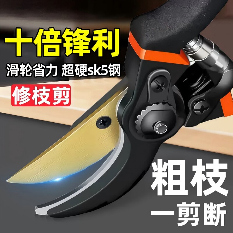 畅销爆款|修剪树枝专用园艺剪刀图片