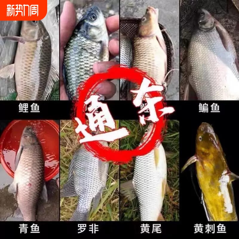 钓鱼饵料鲫鱼鲤鱼草鱼罗非青鱼黑坑通杀鱼饲料直接挂钩颗粒正品