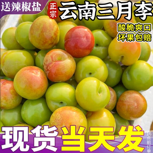 5斤大果 正宗云南三月李新鲜水果早熟李子当季现摘三华脆孕妇整箱