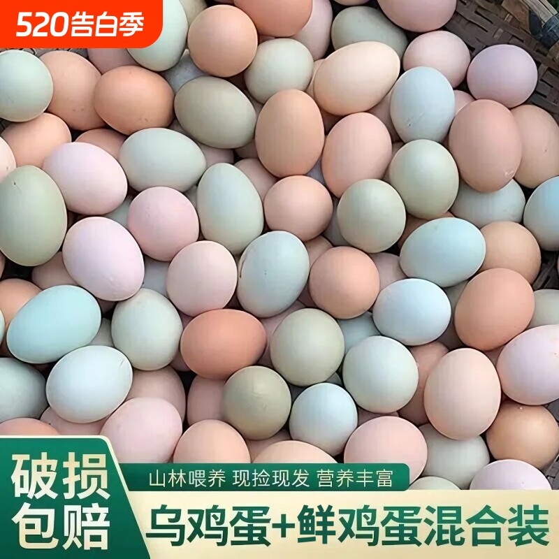 农家混合鸡蛋新鲜乌鸡蛋草鸡蛋谷物鸡蛋笨鸡蛋绿壳鸡蛋