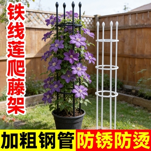 花架爬藤架支撑杆月季攀爬架子铁艺花卉植物支架固定花盆造型园艺