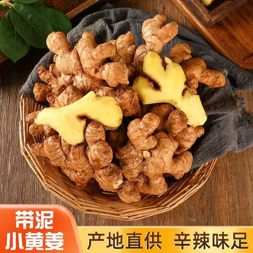 正宗云南小黄姜新鲜土姜沙姜