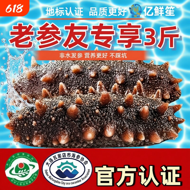 【鲜蒸海参即食】大连大连正宗辽刺参底播品质即食底播刺参30根装