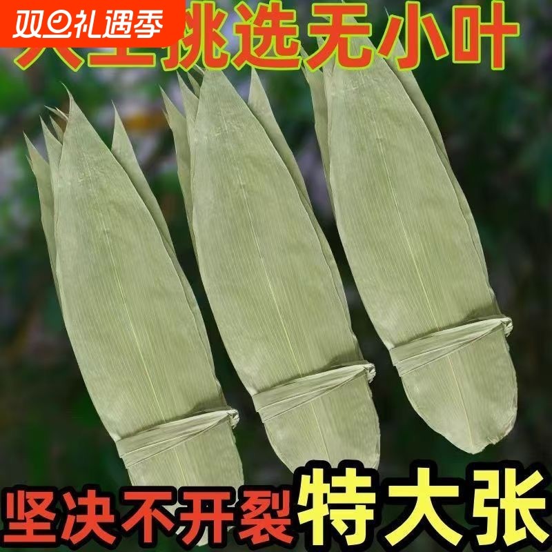 特大号野生干粽叶新鲜包粽子箬叶端午必备粽叶干大号家用粽子叶干