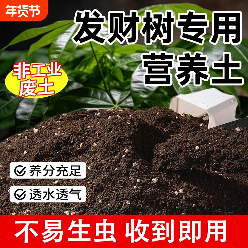 发财树专用土花土绿植种植土肥料专用肥土家用盆栽壤园艺营养土壤