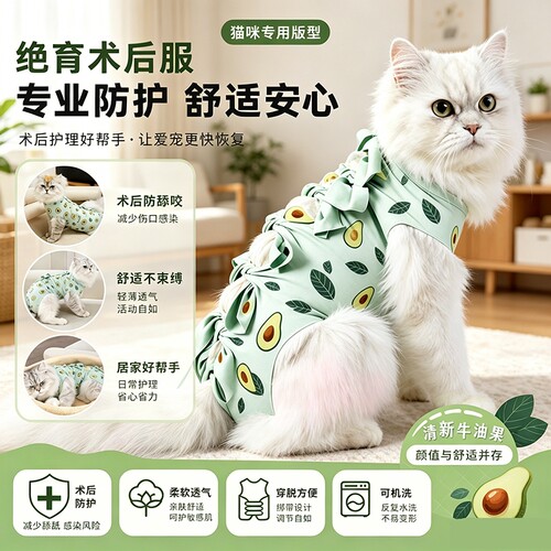 猫咪绝育服母猫手术服透气
