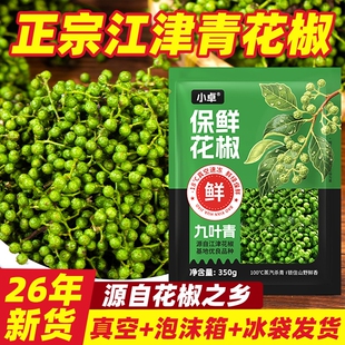 藤椒新鲜青花椒350g四川特产保鲜九叶青花椒粒鲜麻椒香辛料新真空