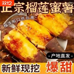 【北部湾火山红薯】湛江红薯榴莲蜜薯软糯香甜精选品质新鲜地瓜