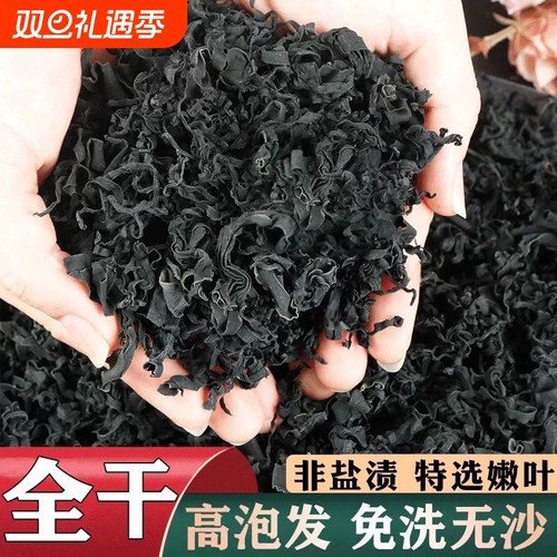 裙带菜凉拌食用袋装干裙带菜