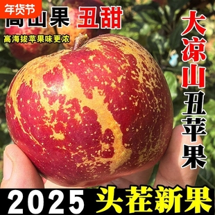 【大凉山盐源直发】四川盐源丑苹果冰糖心新鲜水果盐源苹果