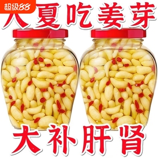 太便宜】枸杞泡姜芽新鲜嫩姜芽爽口酸甜醋泡生姜片泡嫩姜腌制泡菜