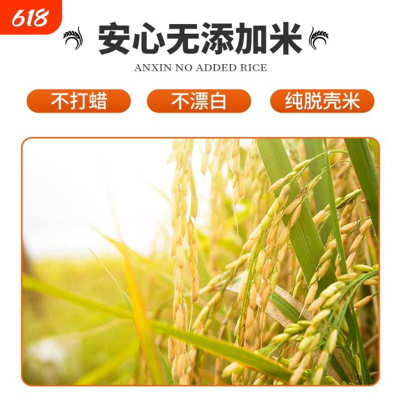 云南芒市遮放小毕朗贡米当季新米厂家10斤厂家直供香软可口有嚼劲