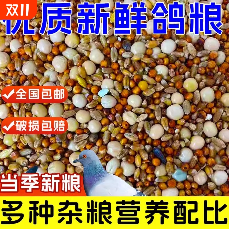 优质鸽粮玉米粮食鸟食饲料鸽子营养保健幼鸽成鸽肉鸽观赏鸽信鸽粮