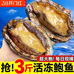 鲍鱼鲜活冷冻青岛崂山新鲜海鲜水产特大加热即食小鲍鱼汁商用速冻