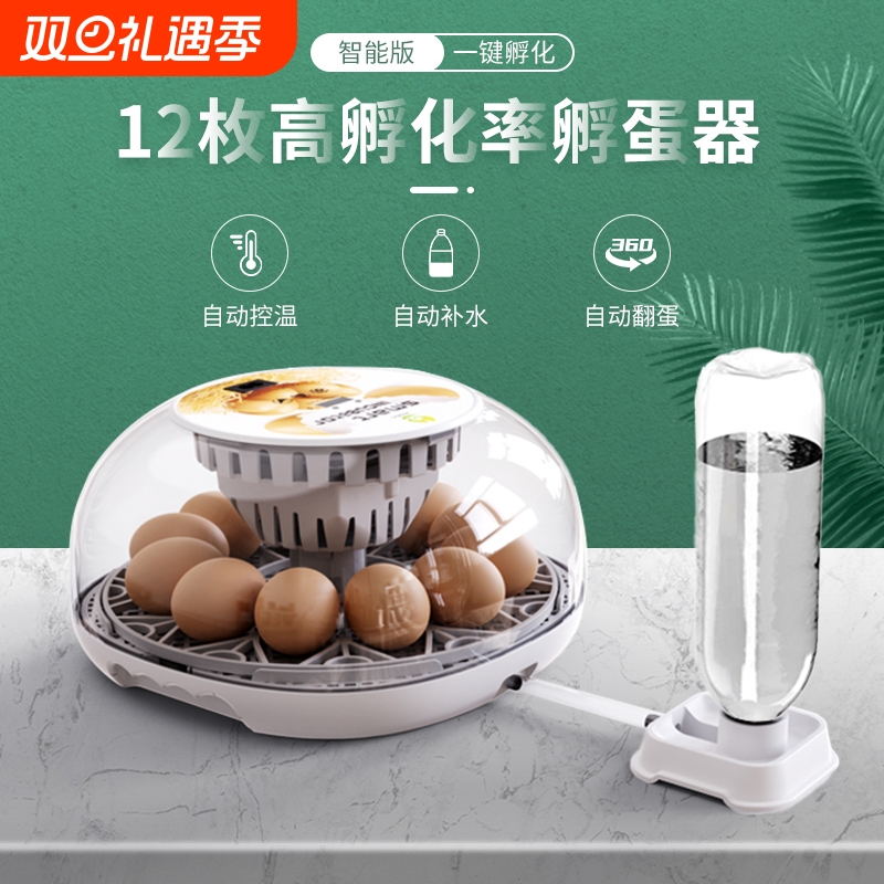 自动智能孵化器孵蛋器让孵化简单