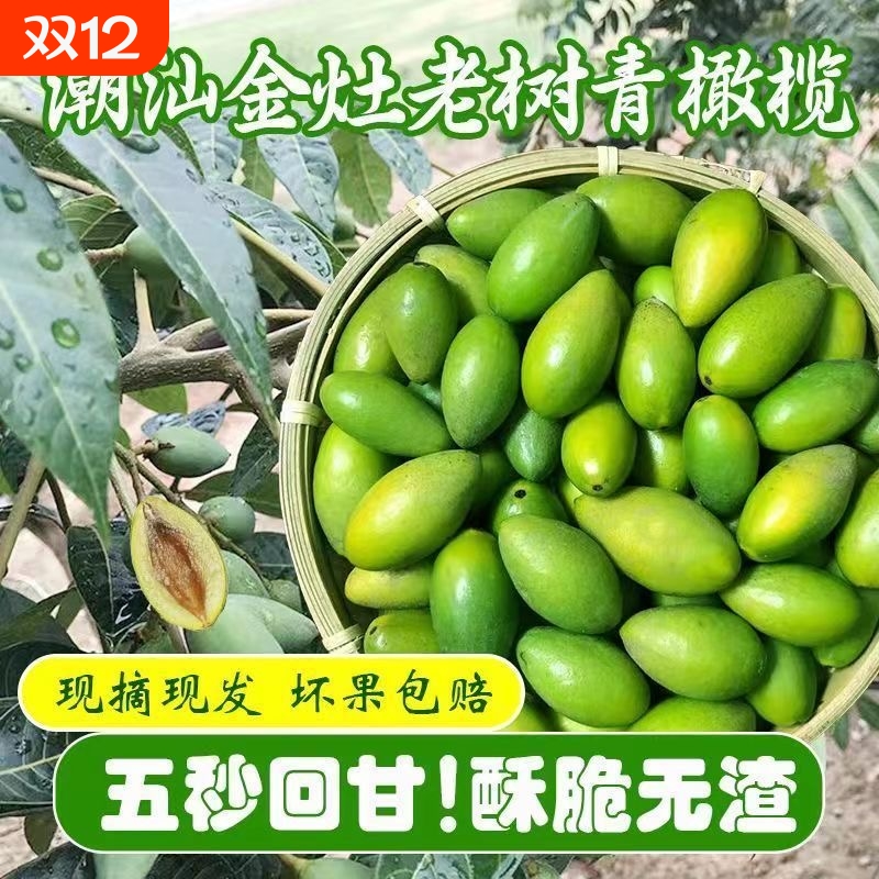 潮汕金灶原味香甜酥脆橄榄新鲜橄榄泡酒煲汤原味橄榄果现摘现发