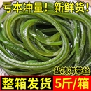 盐渍海带丝新鲜半干货无盐高泡发非特级厚长丝5斤整箱商用凉拌菜