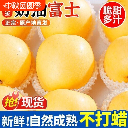 山东正宗黄金奶油富士苹果新鲜水果非红富士苹果当季孕妇水果大果