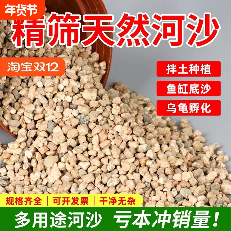 河沙粒精筛粗河砂多肉铺面石君子兰配土颗粒种植养花鱼缸造景底砂
