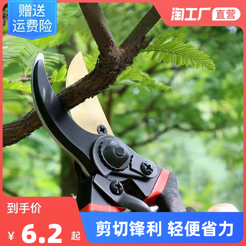 园艺剪刀果树修枝修剪树枝专用花艺枝剪子剪枝园林工具花剪修枝剪